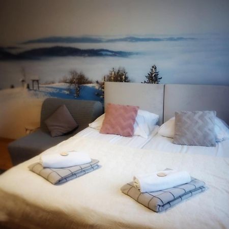 Ferienwohnung Przy Stoku I Potoku Weichsel Exterior foto