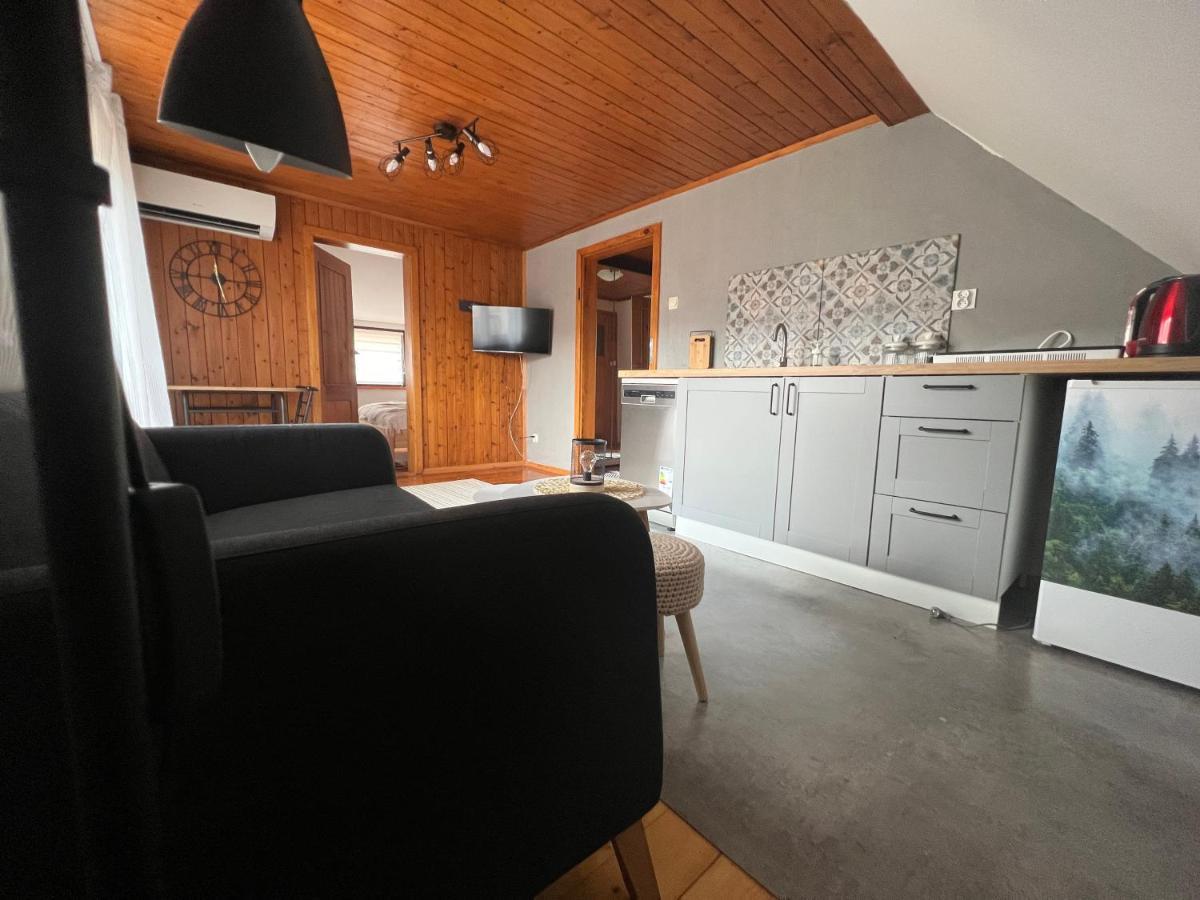 Ferienwohnung Przy Stoku I Potoku Weichsel Exterior foto
