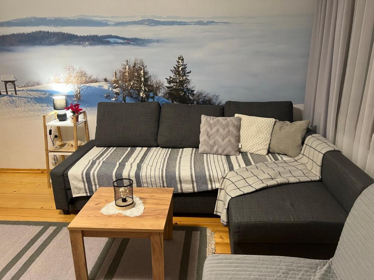 Ferienwohnung Przy Stoku I Potoku Weichsel Exterior foto