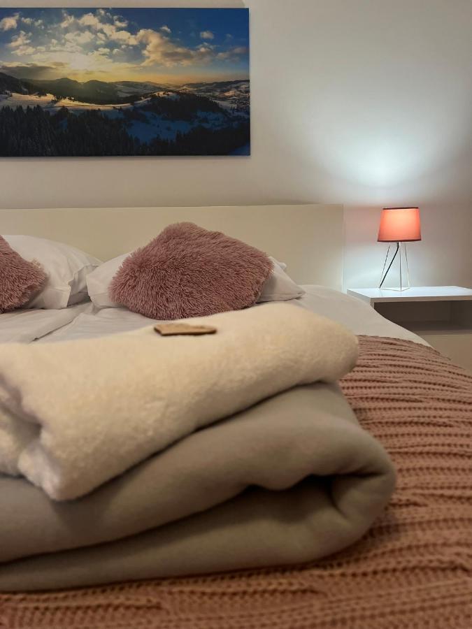 Ferienwohnung Przy Stoku I Potoku Weichsel Exterior foto