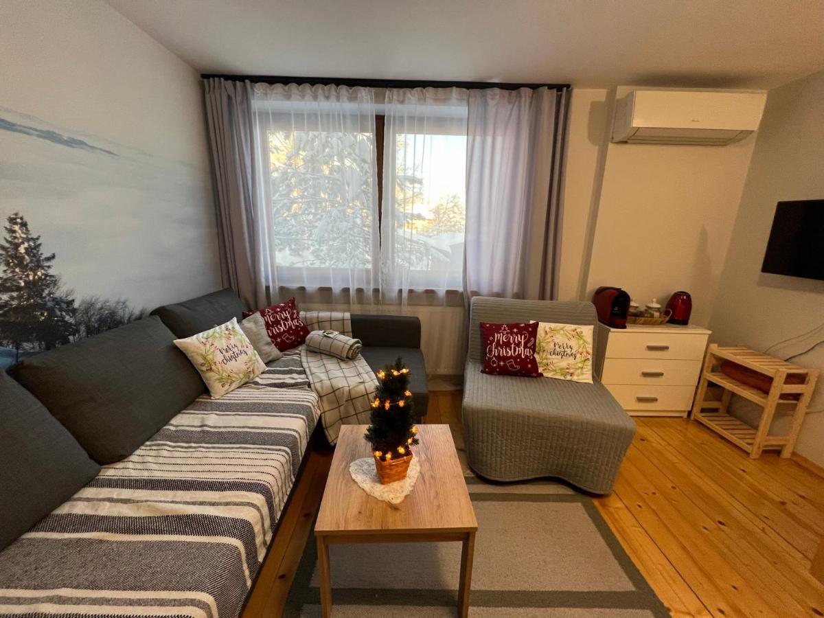 Ferienwohnung Przy Stoku I Potoku Weichsel Exterior foto