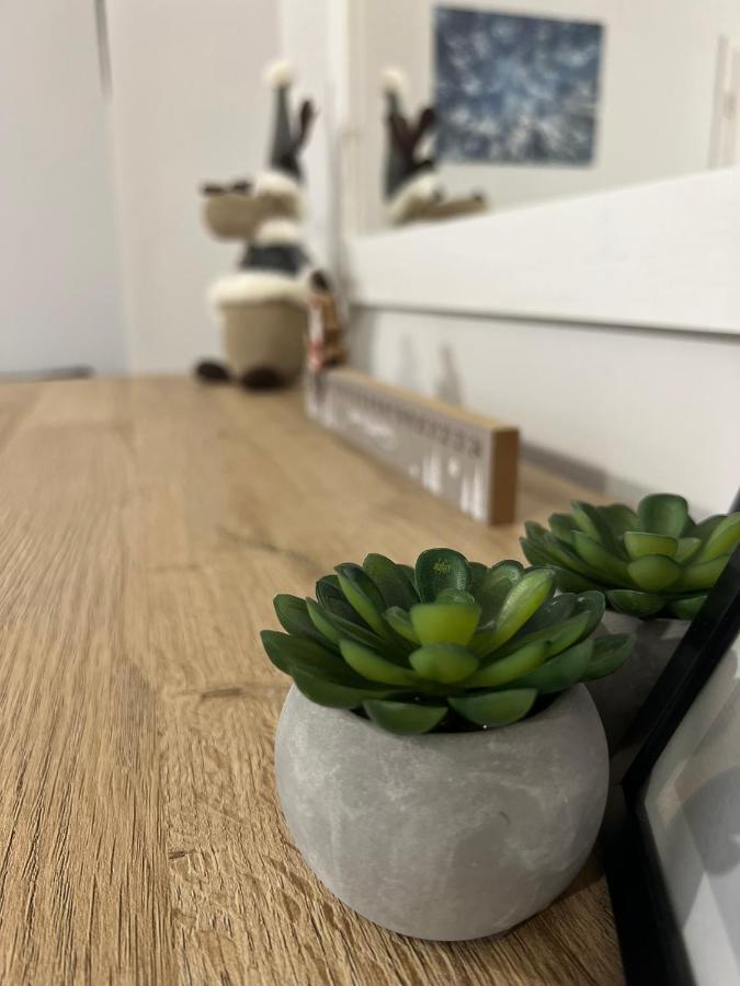 Ferienwohnung Przy Stoku I Potoku Weichsel Exterior foto