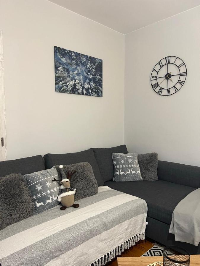 Ferienwohnung Przy Stoku I Potoku Weichsel Exterior foto