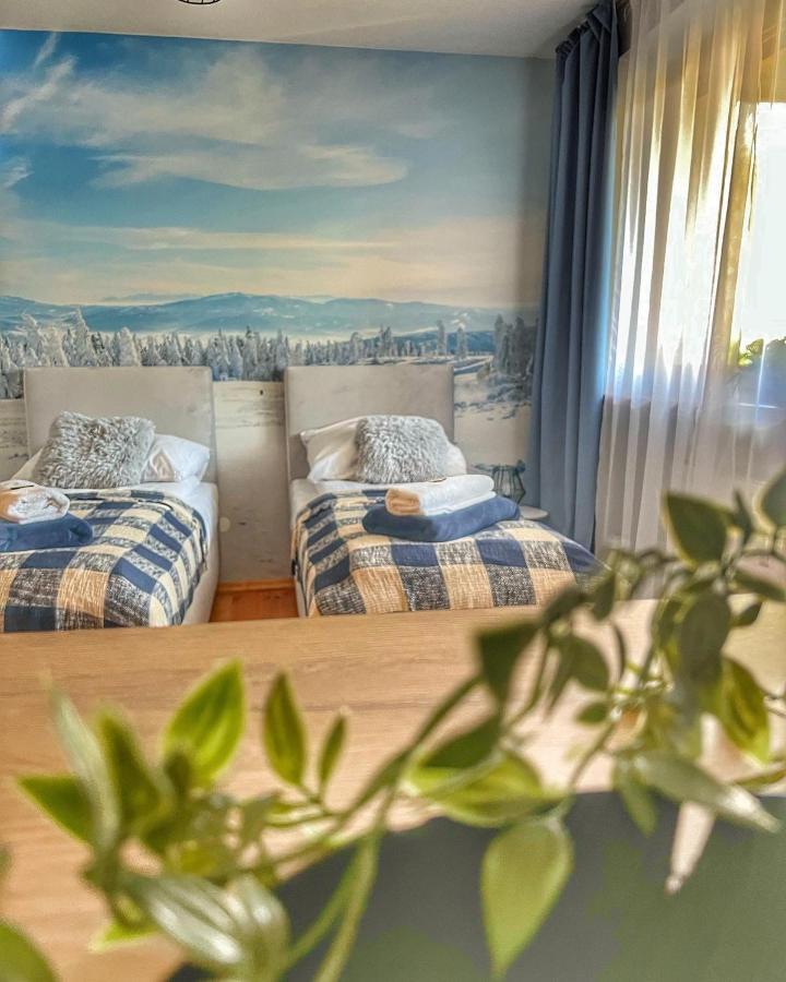 Ferienwohnung Przy Stoku I Potoku Weichsel Exterior foto