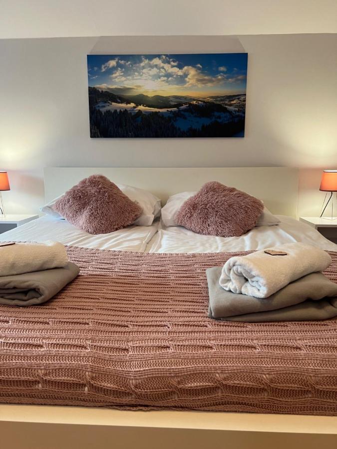 Ferienwohnung Przy Stoku I Potoku Weichsel Exterior foto
